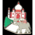 INDIA COUNTRY SCENE PIN